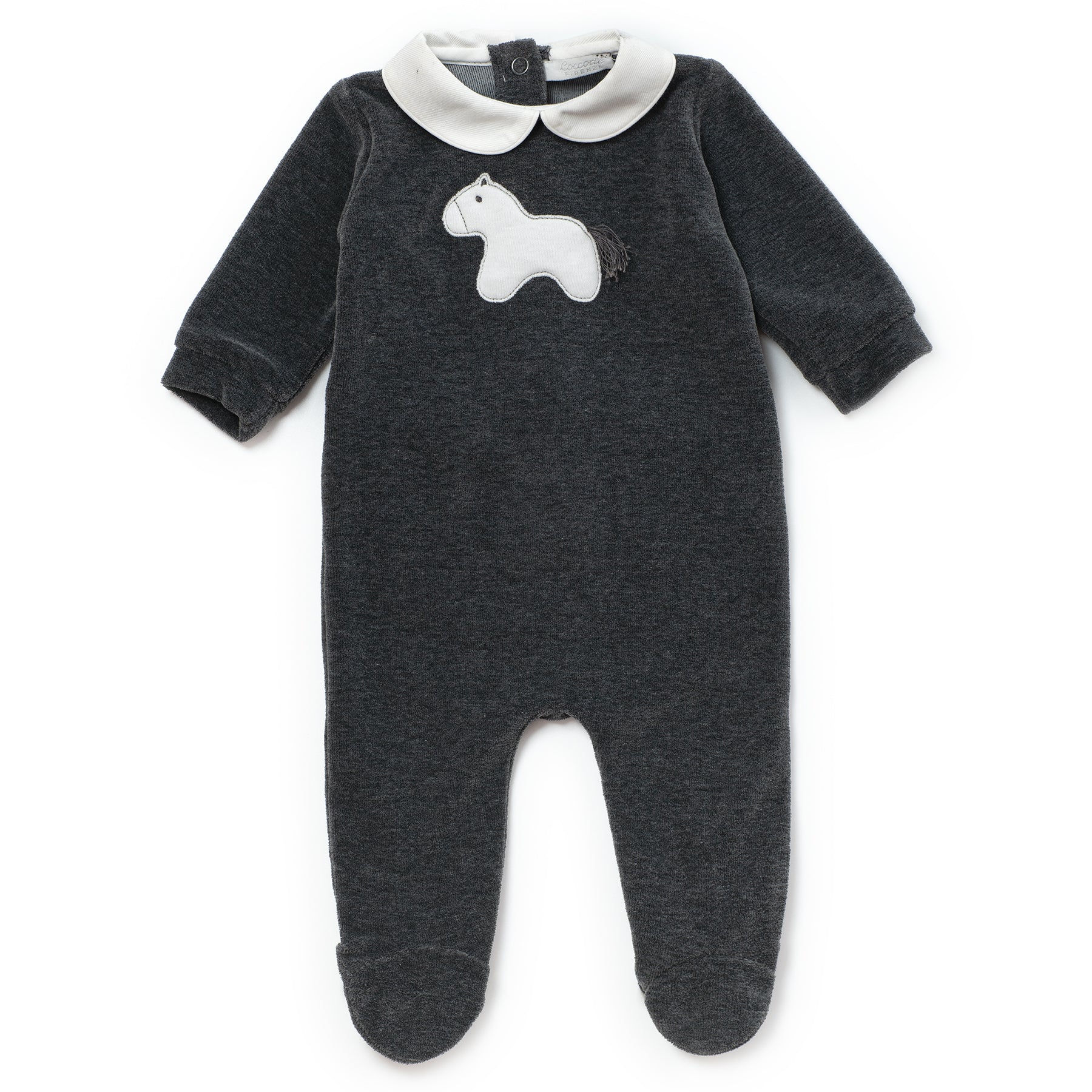 ZUCCHERO DI TEI CECILIA