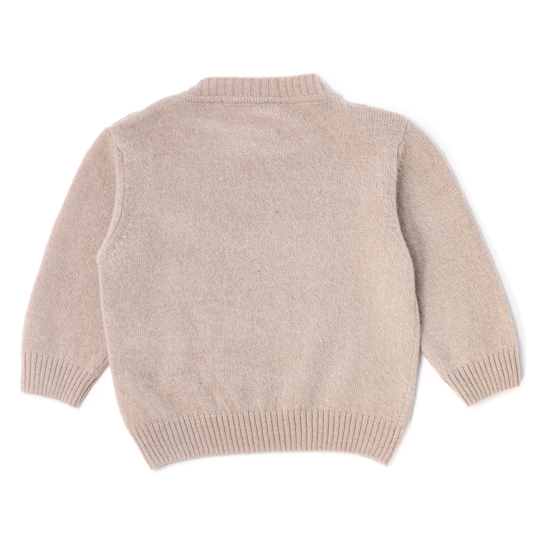 ZUCCHERO DI TEI CECILIA