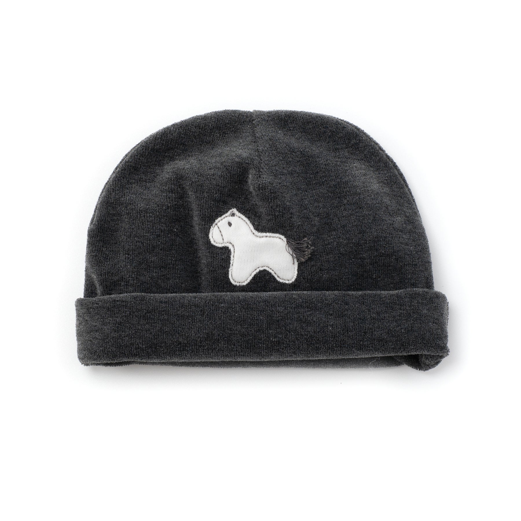 ZUCCHERO DI TEI CECILIA