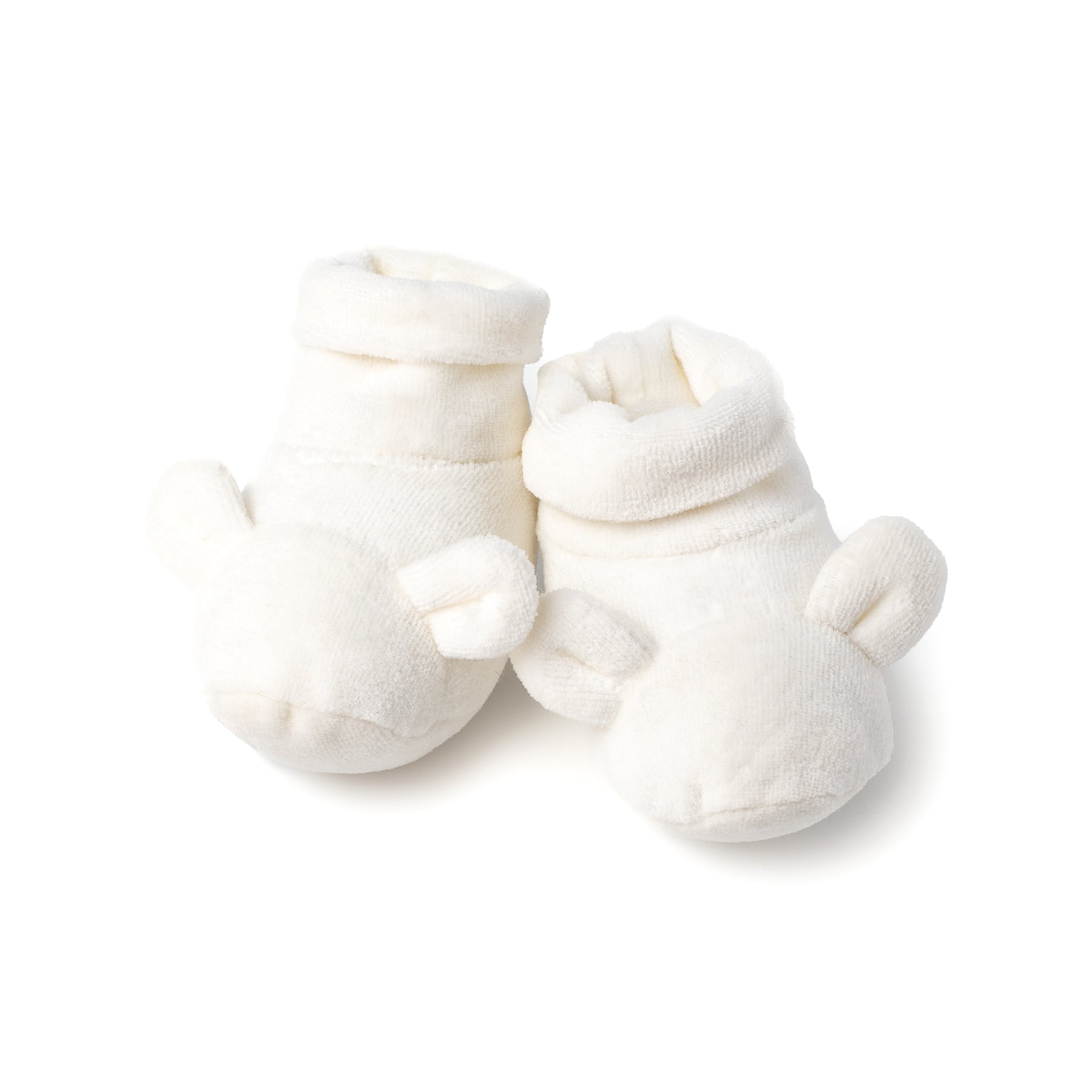 ZUCCHERO DI TEI CECILIA